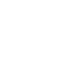 form icon