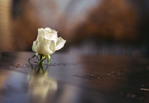 6 Things Seniors Need to Know About Memorial Planning